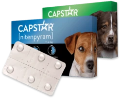 PetIQ CAPSTAR® (nitenpyram) Fast-Acting Oral Flea Treatment For Dogs
