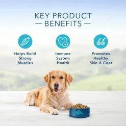 Blue Buffalo Life Protection Natural Fish & Brown Rice Recipe Adult Dry Dog Food 12 Blue Buffalo Life Protection Natural Fish & Brown Rice Recipe Adult Dry Dog Food -Tropi Pet Care Shop 11518 1556044747