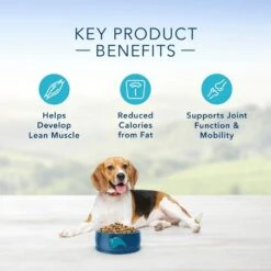 Blue Buffalo Life Protection Healthy Weight Natural Chicken & Brown Rice Recipe Adult Dry Dog Food 11 Blue Buffalo Life Protection Healthy Weight Natural Chicken & Brown Rice Recipe Adult Dry Dog Food -Tropi Pet Care Shop 11520 1556046756