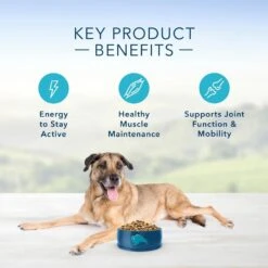 Blue Buffalo Life Protection Natural Chicken & Brown Rice Recipe Senior Dry Dog Food 12 Blue Buffalo Life Protection Natural Chicken & Brown Rice Recipe Senior Dry Dog Food -Tropi Pet Care Shop 11521 1556049497