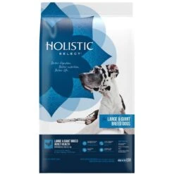 Holistic Select Natural Adult Health Large & Giant Breed Chicken Meal And Oatmeal Dry Dog Food