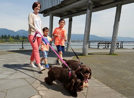 RC PETS DOG LEASH 4 RC PETS DOG LEASH - Image 2