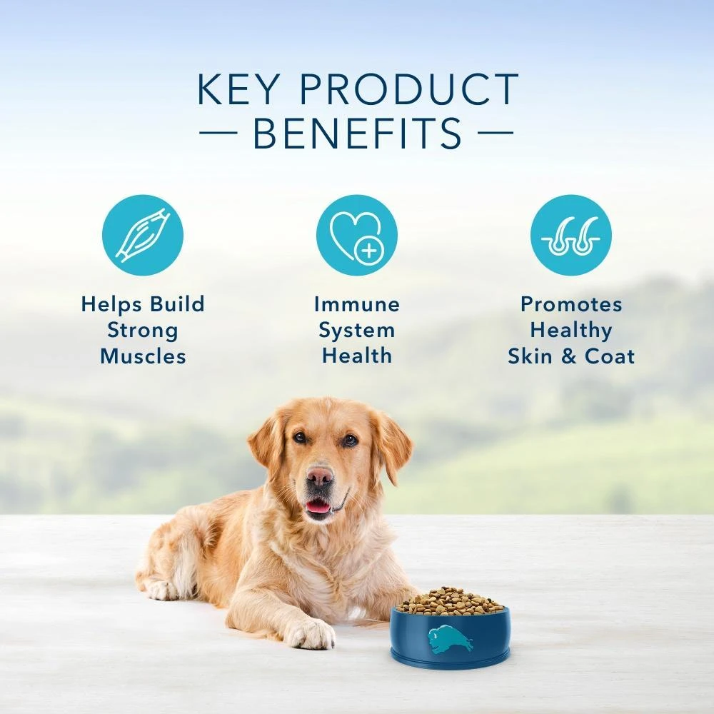 Blue Buffalo Life Protection Natural Chicken & Brown Rice Recipe Adult Dry Dog Food 7 Blue Buffalo Life Protection Natural Chicken & Brown Rice Recipe Adult Dry Dog Food - Image 5