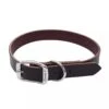 Coastal Pet Products Circle T Latigo Leather Town Dog Collar 3/4" X 18" 1 Coastal Pet Products Circle T Latigo Leather Town Dog Collar 3/4" X 18" -Tropi Pet Care Shop 24c56f0dc0977e68d6534a9465c14e476c6f6896 b3e577f8 1b51 4249 9735 d1a0d7db90d6