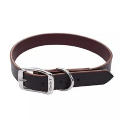 Coastal Pet Products Circle T Latigo Leather Town Dog Collar 1" X 22"