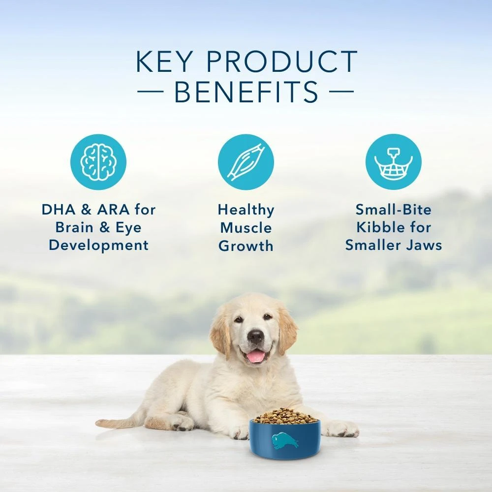 Blue Buffalo Life Protection Natural Chicken & Brown Rice Recipe Puppy Dry Dog Food 7 Blue Buffalo Life Protection Natural Chicken & Brown Rice Recipe Puppy Dry Dog Food - Image 5