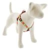 Lupine Pet Original Designs Step In Dog Harness 2 Lupine Pet Original Designs Step In Dog Harness -Tropi Pet Care Shop 31044 3