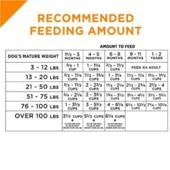Purina Pro Plan Savor Puppy Shredded Blend Chicken & Rice Formula Dry Dog Food -Tropi Pet Care Shop 31545 1555602531