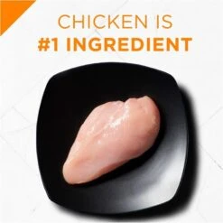 Purina Pro Plan Savor Puppy Shredded Blend Chicken & Rice Formula Dry Dog Food -Tropi Pet Care Shop 31545 1555602552