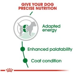 Royal Canin Size Health Nutrition Small Breed Adult Dry Dog Food 10 Royal Canin Size Health Nutrition Small Breed Adult Dry Dog Food -Tropi Pet Care Shop 31716 1543354057