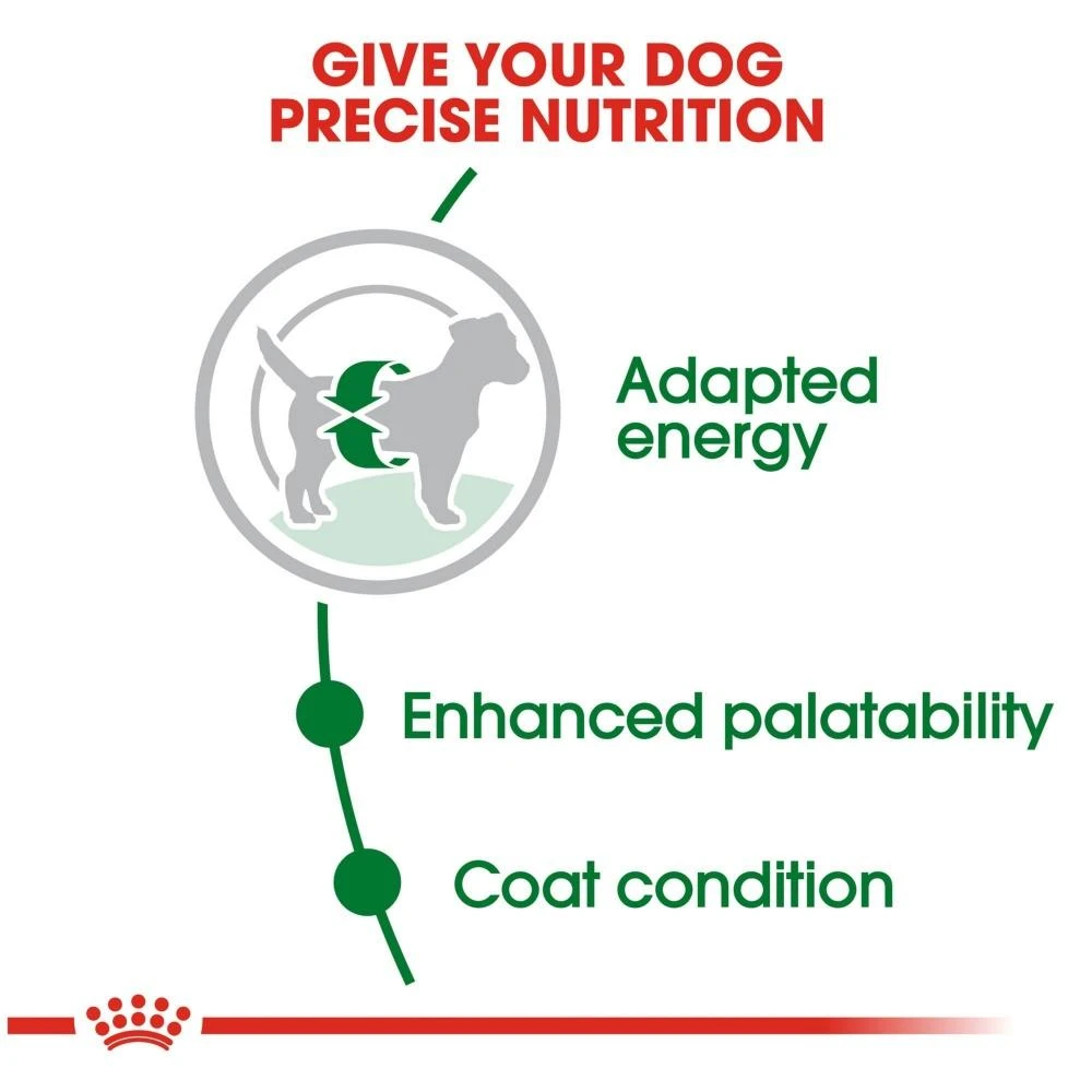Royal Canin Size Health Nutrition Small Breed Adult Dry Dog Food 5 Royal Canin Size Health Nutrition Small Breed Adult Dry Dog Food - Image 3