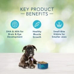 Blue Buffalo Freedom Grain Free Chicken Recipe Puppy Dry Dog Food -Tropi Pet Care Shop 31836 1556041484