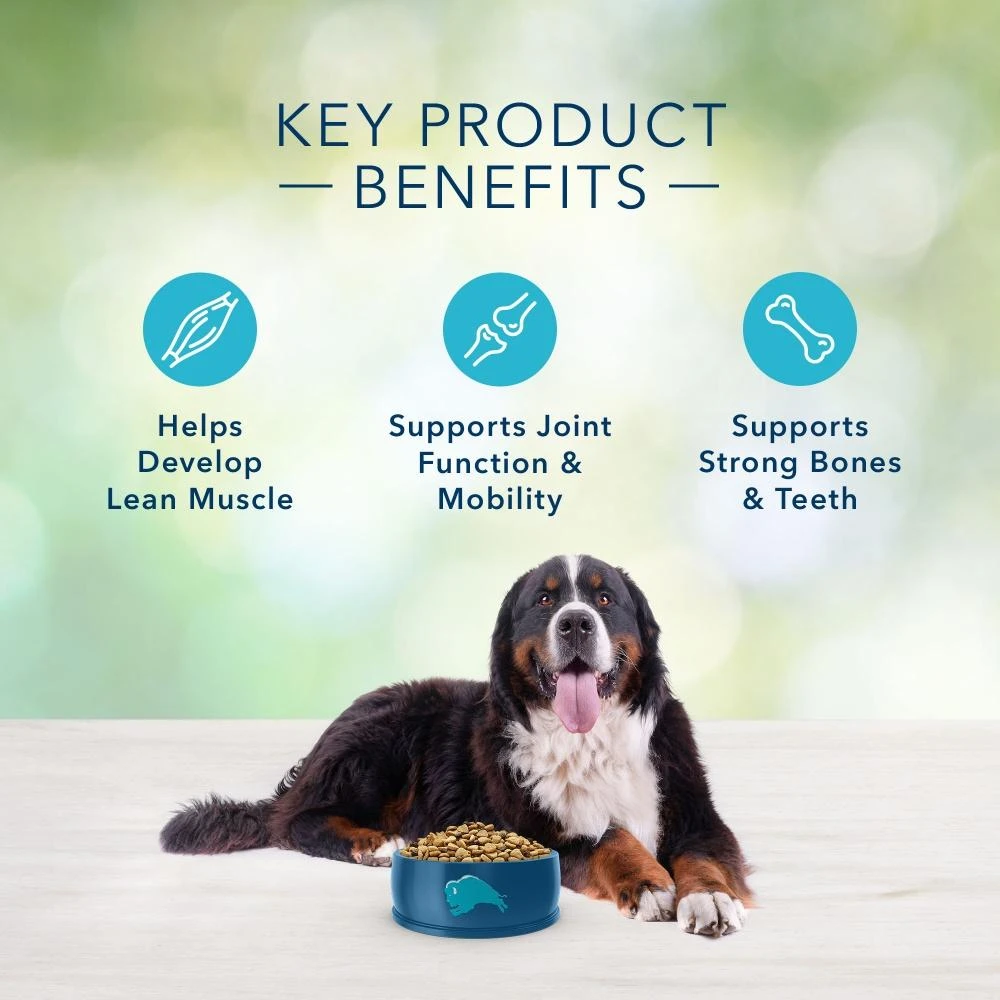 Blue Buffalo Freedom Grain Free Chicken Recipe Large Breed Adult Dry Dog Food 7 Blue Buffalo Freedom Grain Free Chicken Recipe Large Breed Adult Dry Dog Food - Image 5