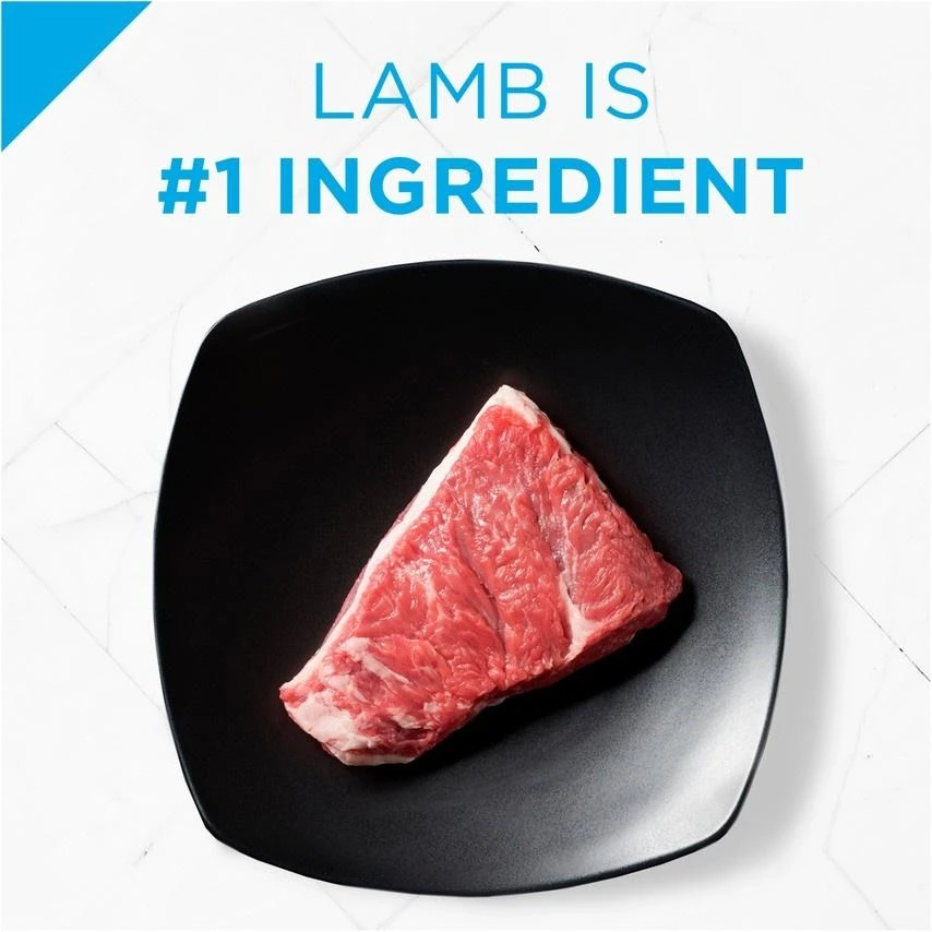 Purina Pro Plan Focus All Life Stages Small Bites Lamb & Rice Dry Dog Food 8 Purina Pro Plan Focus All Life Stages Small Bites Lamb & Rice Dry Dog Food - Image 6