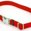Coastal Pet Products Titan Metal Buckle Adjustable Nylon Medium Dog Collar 1 Coastal Pet Products Titan Metal Buckle Adjustable Nylon Medium Dog Collar -Tropi Pet Care Shop 35437 1