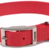 Coastal Pet Products Standard Nylon Large Dog Collar 1 Coastal Pet Products Standard Nylon Large Dog Collar -Tropi Pet Care Shop 35442 1