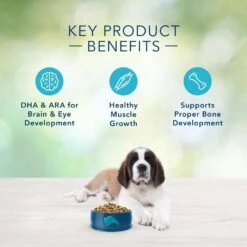 Blue Buffalo Freedom Large Breed Puppy Chicken Recipe Dry Dog Food 12 Blue Buffalo Freedom Large Breed Puppy Chicken Recipe Dry Dog Food -Tropi Pet Care Shop 35907 1556041745