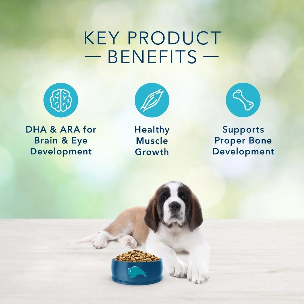 Blue Buffalo Freedom Large Breed Puppy Chicken Recipe Dry Dog Food 7 Blue Buffalo Freedom Large Breed Puppy Chicken Recipe Dry Dog Food - Image 5