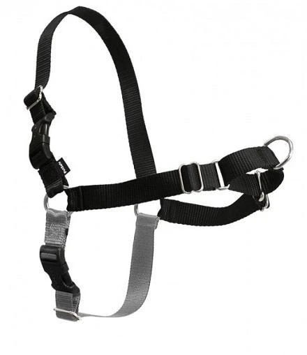 PetSafe Easy Walk Black & Silver Dog Harness 3 PetSafe Easy Walk Black & Silver Dog Harness