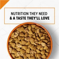 Purina Pro Plan Savor Adult Shredded Blend Salmon & Rice Formula Dry Dog Food 13 Purina Pro Plan Savor Adult Shredded Blend Salmon & Rice Formula Dry Dog Food -Tropi Pet Care Shop 37035 1570481728