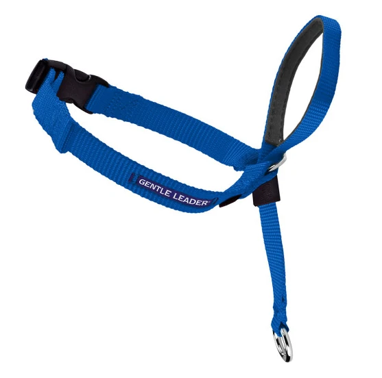 Petsafe Gentle Leader Quick Release Royal Blue Headcollar For Dogs 3 Petsafe Gentle Leader Quick Release Royal Blue Headcollar For Dogs