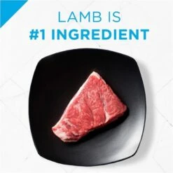 Purina Pro Plan Focus Sensitive Skin & Stomach Formula Lamb & Oat Meal Formula Dry Dog Food -Tropi Pet Care Shop 39424 1555603958