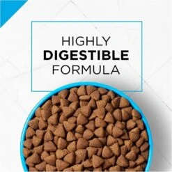 Purina Pro Plan Focus Sensitive Skin & Stomach Formula Lamb & Oat Meal Formula Dry Dog Food -Tropi Pet Care Shop 39424 1555603973