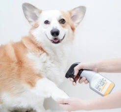 Silver Honey Hot Spot & Wound Care Spray Gel -Tropi Pet Care Shop 430482 Social 2 40ef00a3 3781 46d3 aea4 e0d91e272c5e