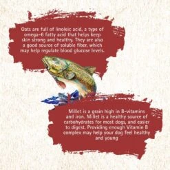 Inception Fish Recipe Dry Dog Food -Tropi Pet Care Shop 43888 1576790542