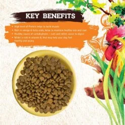 Inception Chicken & Pork Meal Recipe Dry Dog Food 10 Inception Chicken & Pork Meal Recipe Dry Dog Food -Tropi Pet Care Shop 43889 1576791443