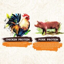 Inception Chicken & Pork Meal Recipe Dry Dog Food 13 Inception Chicken & Pork Meal Recipe Dry Dog Food -Tropi Pet Care Shop 43889 1576791502