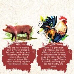 Inception Chicken & Pork Meal Recipe Dry Dog Food 14 Inception Chicken & Pork Meal Recipe Dry Dog Food -Tropi Pet Care Shop 43889 1576791515