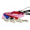 Lupine Pet Basic Solids Dog Leash 1 Lupine Pet Basic Solids Dog Leash -Tropi Pet Care Shop 7 basics leash 1