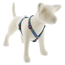 LupinePet Original Designs Roman Dog Harness -Tropi Pet Care Shop 93803