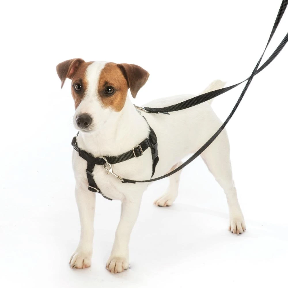 Black Freedom No-Pull Dog Harness 4 Black Freedom No-Pull Dog Harness - Image 2