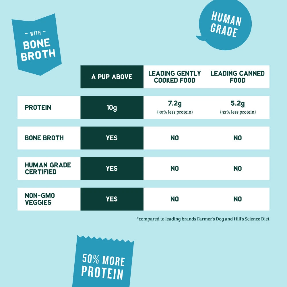 A Pup Above Porky's Luau Dog Food 9 A Pup Above Porky's Luau Dog Food - Image 7