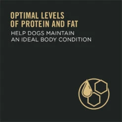 Purina Pro Plan Adult Complete Essentials Shredded Blend Beef & Rice Dry Dog Food -Tropi Pet Care Shop PP DRY DOG CE SHRD BFRC RTB4 WEB