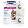 PetArmor® 7 Way De-Wormer (Pyrantel Pamoate And Praziquantel) For Medium And Large Dogs 1 PetArmor® 7 Way De-Wormer (Pyrantel Pamoate And Praziquantel) For Medium And Large Dogs -Tropi Pet Care Shop PetArmor De Wormer Large Front V2