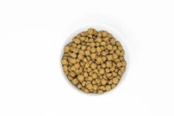 Stella & Chewy's Raw Coated Wholesome Grains Chicken Recipe Dry Dog Food 11 Stella & Chewy's Raw Coated Wholesome Grains Chicken Recipe Dry Dog Food -Tropi Pet Care Shop jfayveomfg9ypthxt3gv 45f7cc0b c758 44e5 af95 2c9dcd87fd33