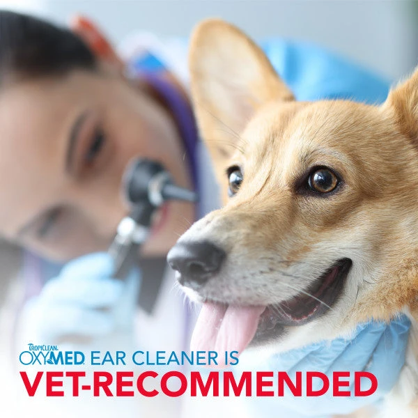 TropiClean OxyMed Ear Cleaner For Pets 8 TropiClean OxyMed Ear Cleaner For Pets - Image 6