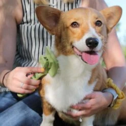 Coastal Pet Products Safari Dog Self-Cleaning Slicker Brush -Tropi Pet Care Shop oiv5wxlba5pci5k4chxm