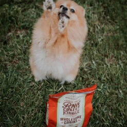 Stella & Chewy's Raw Coated Kibble With Wholesome Grains Cage Free Duck Recipe Dry Dog Food 9 Stella & Chewy's Raw Coated Kibble With Wholesome Grains Cage Free Duck Recipe Dry Dog Food -Tropi Pet Care Shop qqlqitlywl30ecuux3f1