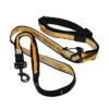 Kurgo Quantum 6-in-1 Dog Leash 1 Kurgo Quantum 6-in-1 Dog Leash -Tropi Pet Care Shop quantum silo orange 10 18 1100 kurgo 26199