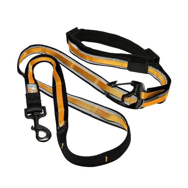 Kurgo Quantum 6-in-1 Dog Leash 3 Kurgo Quantum 6-in-1 Dog Leash