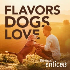 TropiClean Enticers Smoked Beef Brisket Flavor Teeth Cleaning Gel -Tropi Pet Care Shop rw7yiwaeumfqethzvx3d e280b327 aba6 471b 9281 023d05a376ce