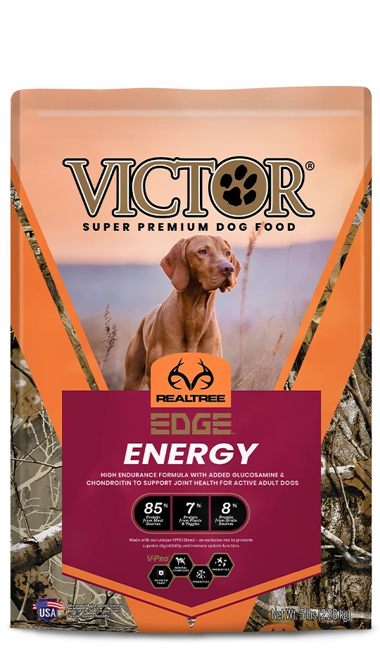 VICTOR Realtree® EDGE ENERGY For Dogs 3 VICTOR Realtree® EDGE ENERGY For Dogs