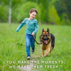 TropiClean Natural Flea & Tick Maximum Strength Shampoo For Dogs -Tropi Pet Care Shop wrsyshxpninzxyr9tmzy 56d1c19d 5c3c 4898 bf95 31245b49a59b