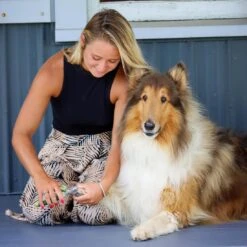 Coastal Pet Products Safari Professional Dog Nail Trimmer 12 Coastal Pet Products Safari Professional Dog Nail Trimmer -Tropi Pet Care Shop xtgcxyqqviw0b1xvejnz