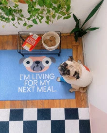 Stella & Chewy's Bountiful Bone Broth Cage Free Chicken Bone Broth Recipe 6 Stella & Chewy's Bountiful Bone Broth Cage Free Chicken Bone Broth Recipe - Image 4