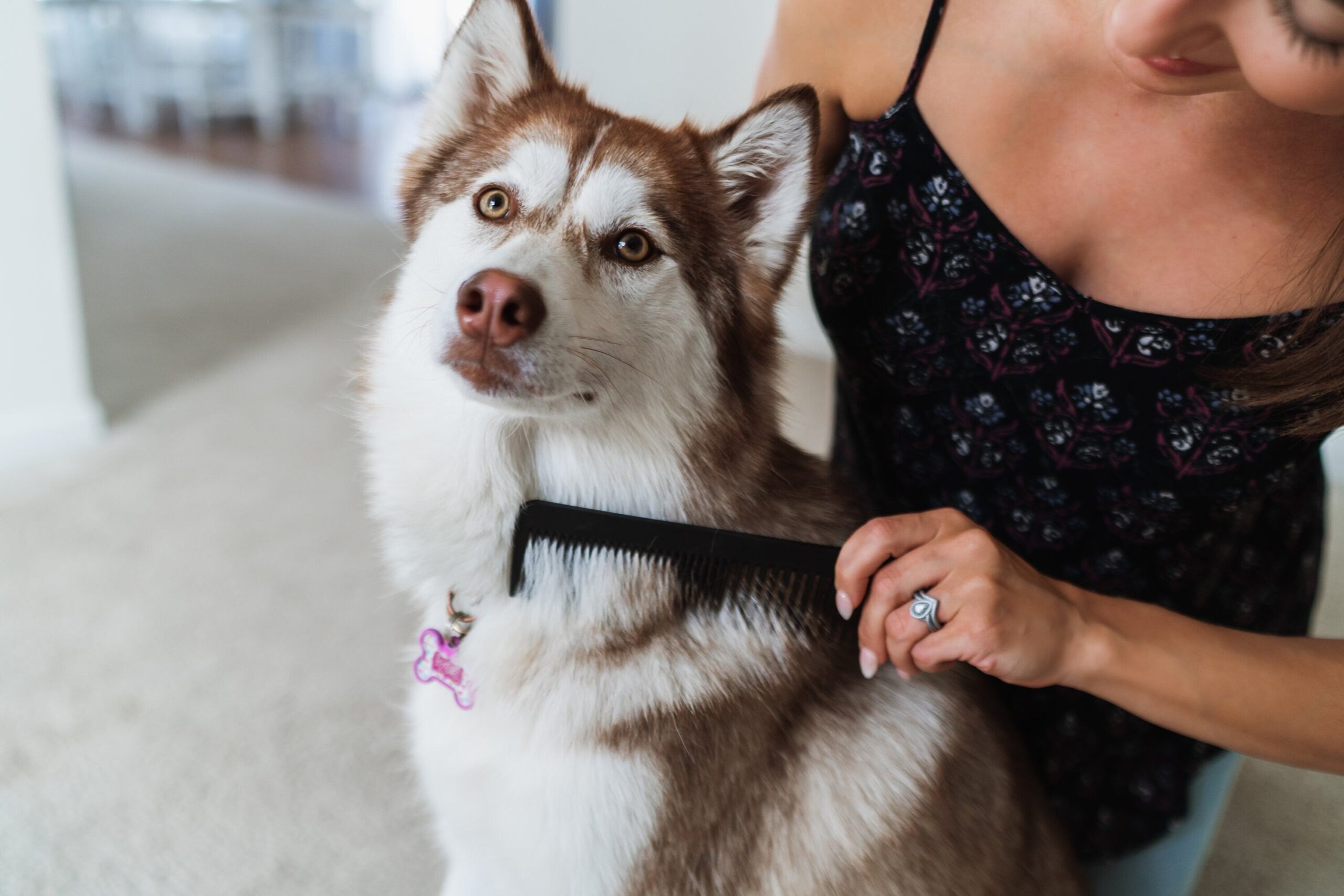 Tropi Pet Care Shop 32 Tropi Pet Care Shop -Tropi Pet Care Shop il fullxfull.3235602001 e8lf 500 scaled